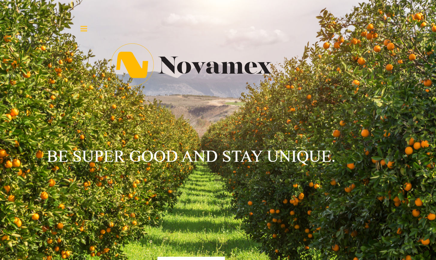 View the portfolio entry titled 'Novamex'